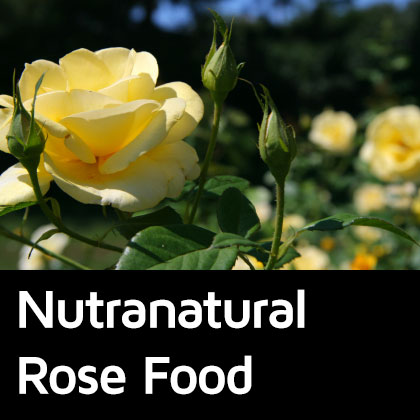 Nutra natural rose food