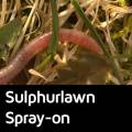 Sulphurlawn Spray-on