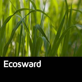 Ecosward