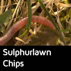 Sulphurlawn Chips